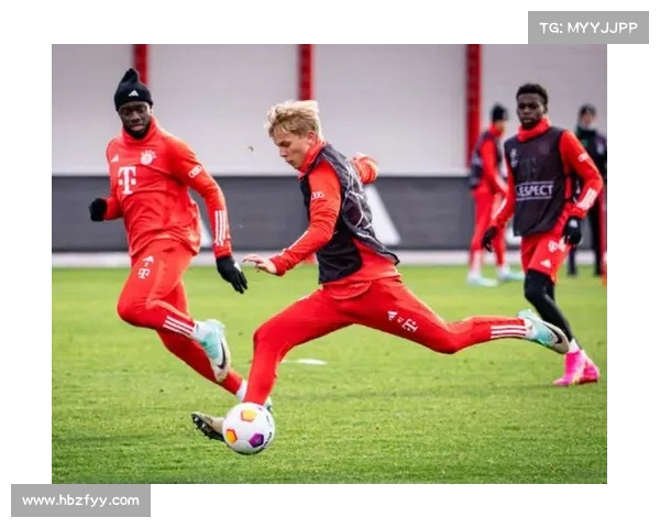 拜仁与戴尔能力分析中的核心问题及其解决方案探讨